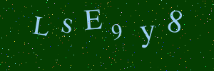 Validation image