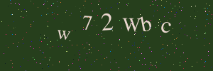 Validation image